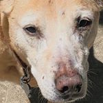 Profile Picture of Sean Bushnell (@sean.bushnell) on Instagram