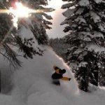 Profile Picture of Steve Lally (@lallybostonlally) on Instagram