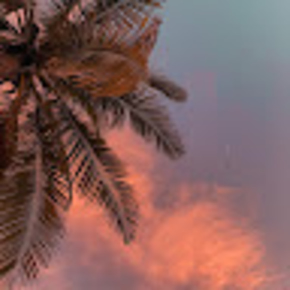 Profile Picture of Lillian Schiffman (@dinonuggys22) on Poshmark