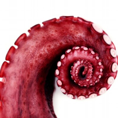 Profile Picture of Matt Burden (@rabidsquid) on Twitter