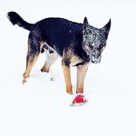 Profile Picture of Kim Whitley Gahm (@kimwhitleygahm) on Instagram