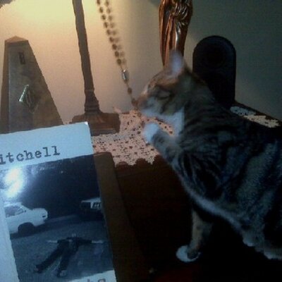 Profile Picture of Nancy Swanson (@NancySwanson) on Twitter