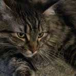 Profile Picture of Nancy Blackmer (@nancy.blackmer.2025) on Facebook