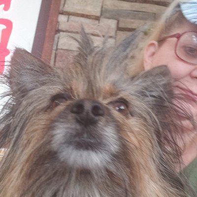 Profile Picture of Candice L Pugh (@CandiceLPugh1) on Twitter