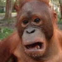 Profile Picture of Adam Morin (@adam-morin-9) on Quora