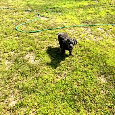 Profile Picture of Deborah Treadwell (@DeborahTreadwe9) on Twitter