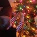 Profile Picture of Susan Skarzynski James (@suejay52) on Pinterest