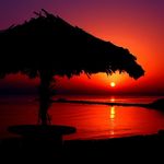 Profile Picture of Steven Waxii (@stevenwaxii) on Instagram