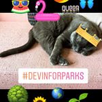 Profile Picture of Devin Hogan (@devinforparks) on Instagram