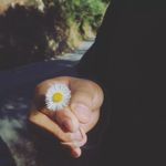 Profile Picture of Evan Cross (@evancross117) on Instagram