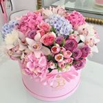 Veronica Nicolau - Instagram Profile Picture of Veronica Nicolau (@veronica.nicolau.9) on Instagram