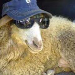 Profile Picture of Adrian Davies (@ADRIANDAVIES196) on Twitter