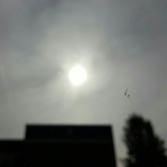 Profile Picture of V Vulcano (@justv1818) on Poshmark