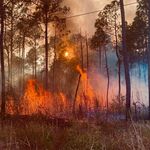 Profile Picture of Bradley Ragle (@bradsteil) on Instagram