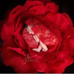 Profile Picture of J. Kaylen Photography by Yen📷✨ (@jkaylenphotography) on Instagram
