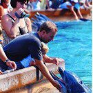 Profile Picture of Brian blair (@kenobisbeard) on Instagram