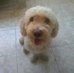 Profile Picture of Rubén Larez (@ruben.larez.1238) on Facebook