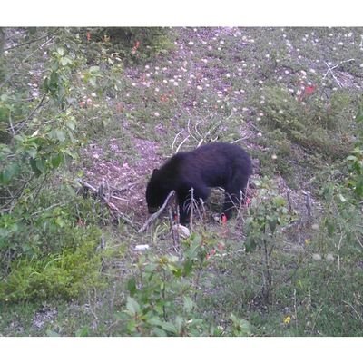 Profile Picture of Mike Takata (@TakataMike) on Twitter