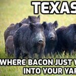 Profile Picture of Jim Jones (@fatasseque) on Instagram