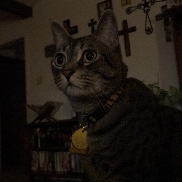 Profile Picture of Dustin Jones (@jonesdust) on Poshmark