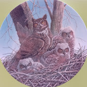 Profile Picture of Bill Chandler (@billchandlercanada) on Youtube