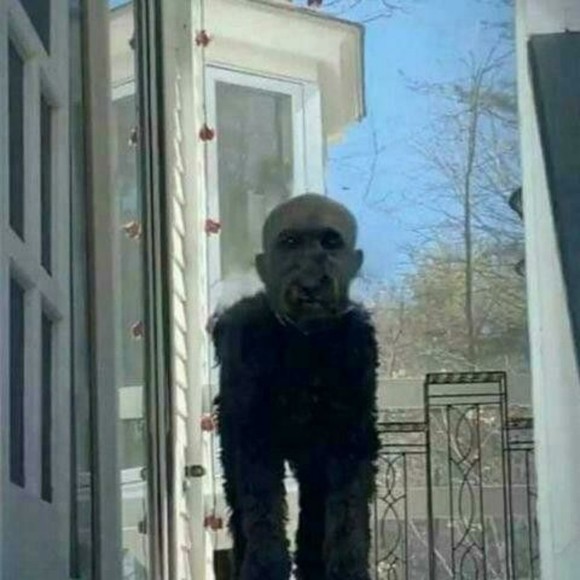 Profile Picture of Jacqueline Mac (@jackiewmac) on Poshmark