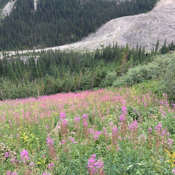 Profile Picture of Hannah Temkin (@hannahtemkin) on Poshmark