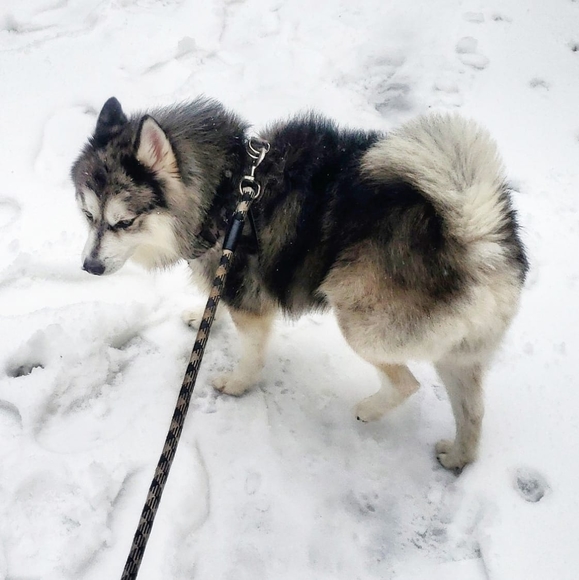 Profile Picture of Judah Chrem (@jejeclown2) on Poshmark