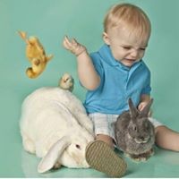 Profile Picture of Joe Olsen (@joe-olsen-5) on Quora