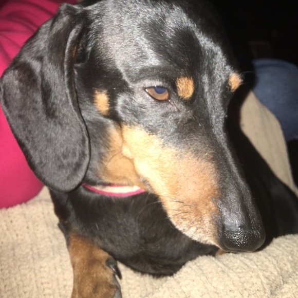 Profile Picture of Stephanie Boyer (@yohaun) on Poshmark