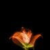 Profile Picture of Chrispas Jere (@chrispas.jere) on Facebook