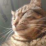 Profile Picture of Andrew Hayman (@anhayman491) on Instagram