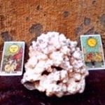 Profile Picture of Gillian John (@gillianjohn779) on Instagram