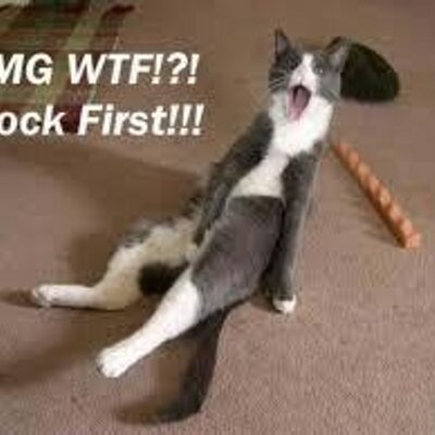 Profile Picture of Brandon Wilks (@brandonrules66) on Twitter