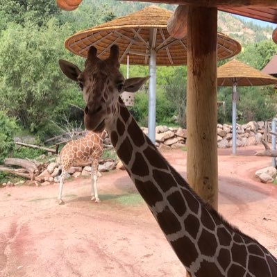 Profile Picture of Pat Latham (@Platham23) on Twitter