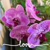 Profile Picture of Nancy Christian (@@nancychristian0) on Tiktok