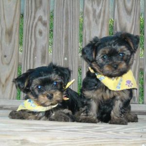 Profile Picture of Terri Spain (@spainterri) on Myspace