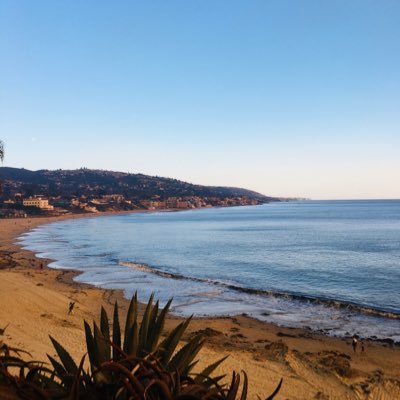 Profile Picture of Debbie Hsu (@DebbieHsu12) on Twitter