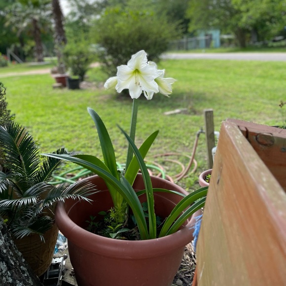 Profile Picture of Claudia Ramirez (@claudiaramir260) on Poshmark