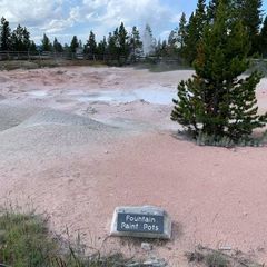 Profile Picture of Ed Fleming (@edfleming0) on Tiktok