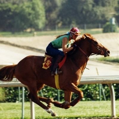 Profile Picture of Jon Cianci (@pick6jon) on Twitter