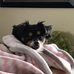 Profile Picture of Dixie Jenkins (@dixie.jenkins.10) on Facebook