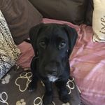 Profile Picture of Monty FM (@monty_franklinmitchell) on Instagram