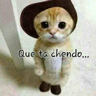 Profile Picture of Alexandro Martinez (@alexand43647622) on Twitter