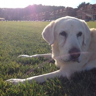 Eric Reimers - Twitter Profile Picture of Eric Reimers (@reimerse) on Twitter