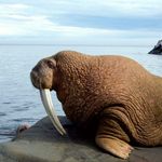 Profile Picture of Ricarda Pizzuto (@pizzutoricarda) on Instagram