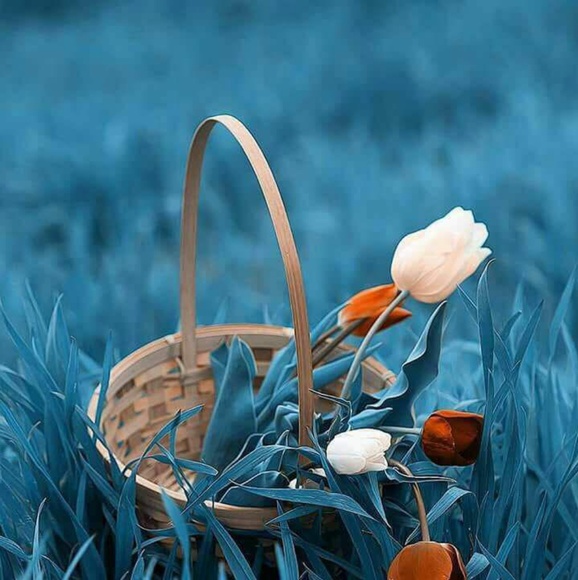 Profile Picture of Manisha Tripathi (@manisha129) on Poshmark