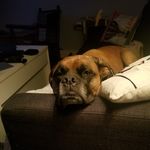 Profile Picture of Brian Keck (@brian.keck.39) on Instagram