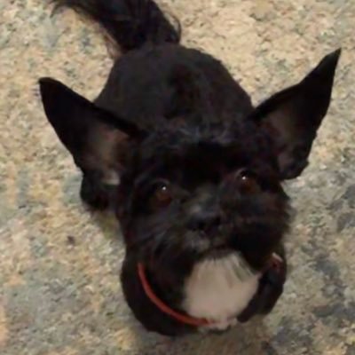 Profile Picture of Alejandro Terrazas (@alejand83577733) on Twitter