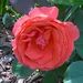 Profile Picture of Janet Hollar (@janethollar) on Pinterest